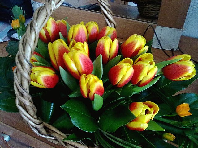 Надя Богачёва | Москва