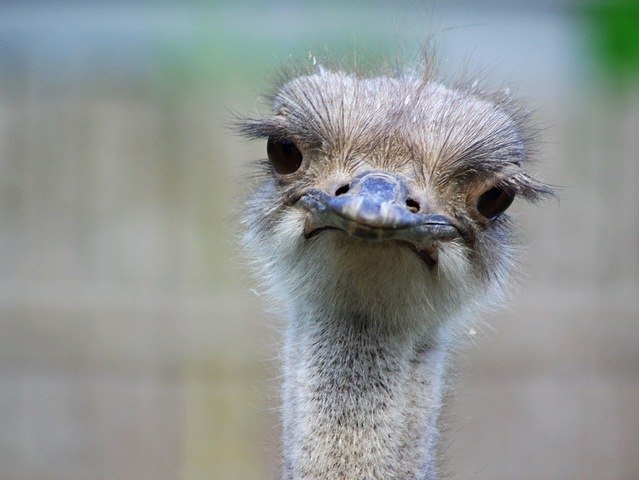 Надежда Новоселова | Северодвинск