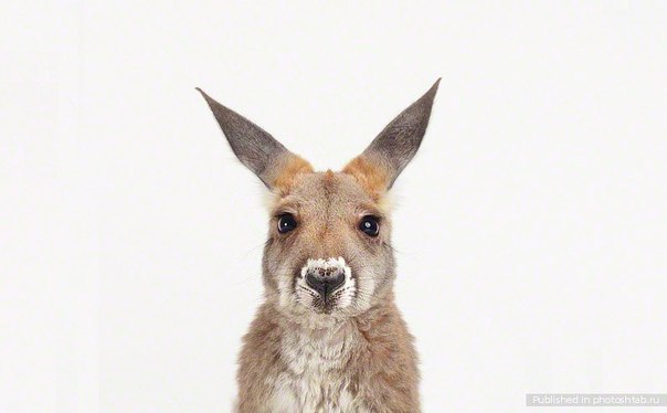 Настя Кучинская | Киев