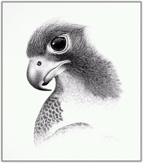 Женек Панкратов | Самара