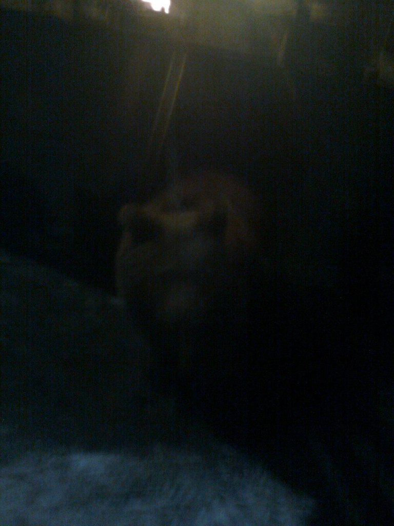 Александр Цветков | Ярославль