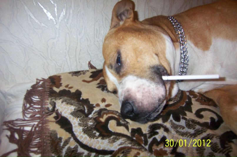 Геннадий Бормотов | Одесса