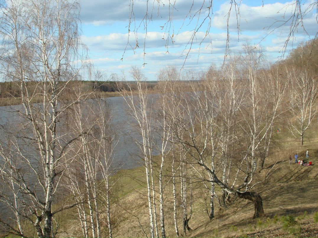 Анатолий Зырянов | Москва