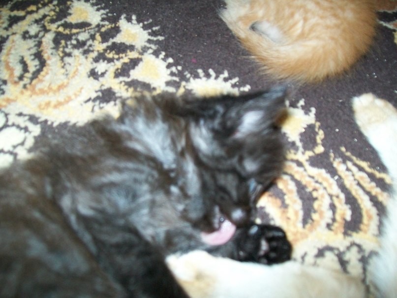 Гульнара Галиева | Уфа