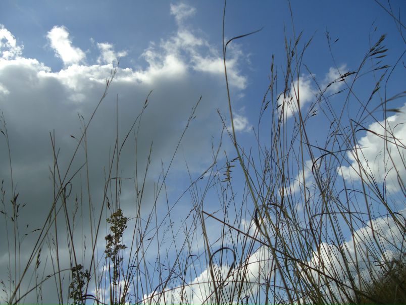 №129, Анастасия Зеньковская, Воронеж №129, Анастасия Зеньковская, Воронеж