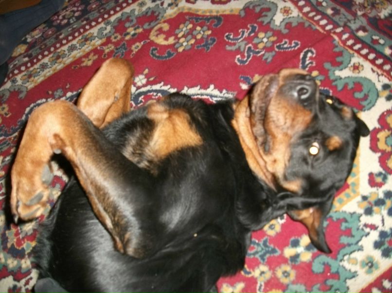 Александр Константинов | Йошкар-Ола