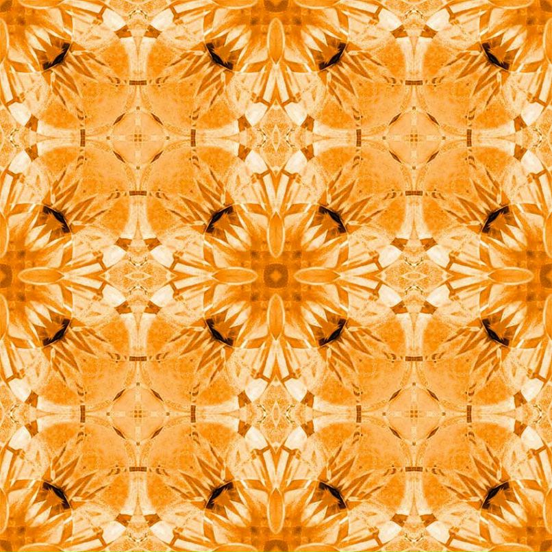 Элина Болоцкая | Санкт-Петербург