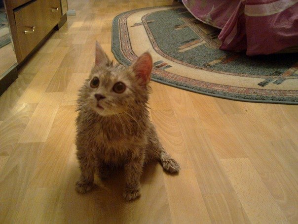 Даня Орловский | Красноярск