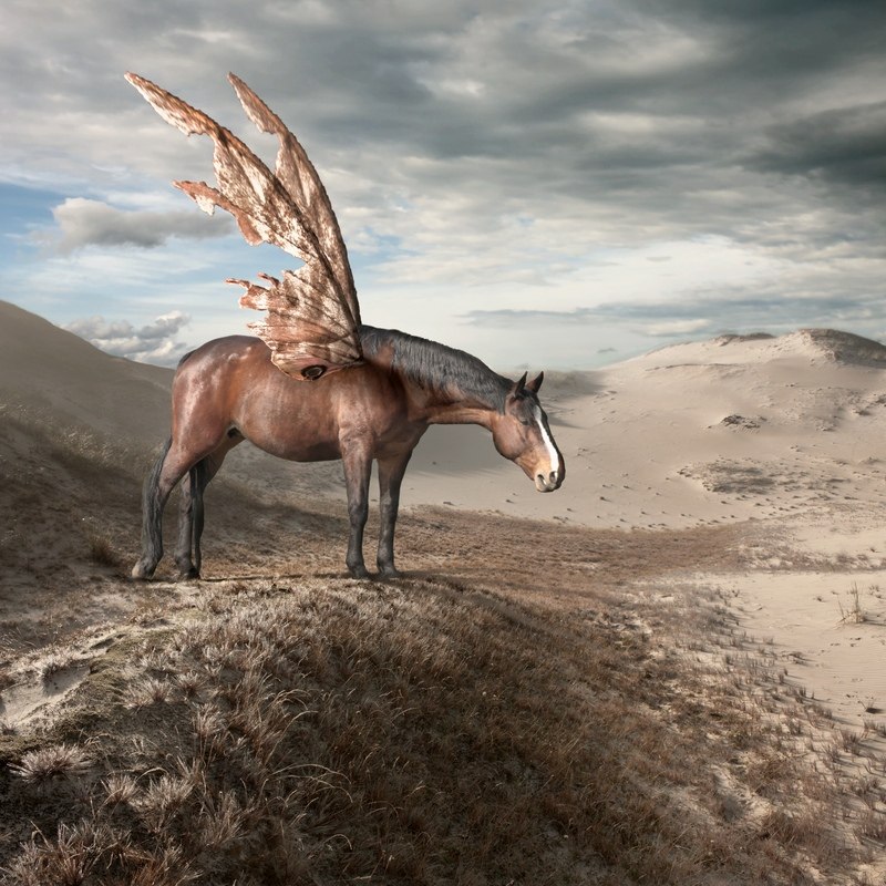 Юля Егорова | Санкт-Петербург