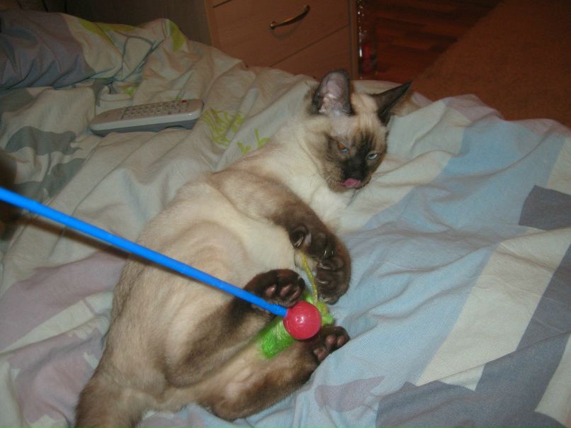 Наташа Загребина | Ижевск