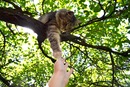 Фотография Емельяновой Кристины