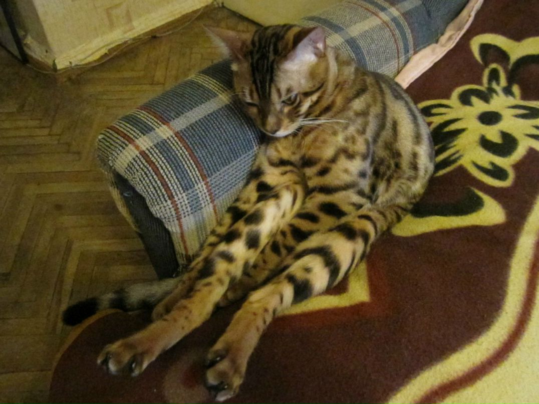 Анка Рыжая | Санкт-Петербург