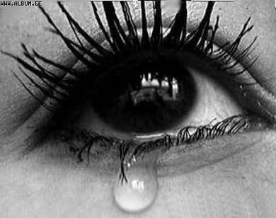 Анастасія Компанець | 