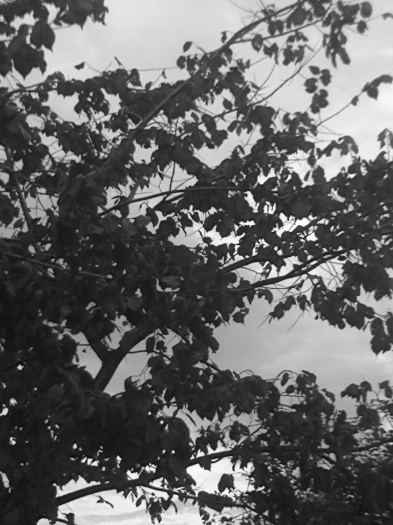 Ксения Нагорная | Чернигов