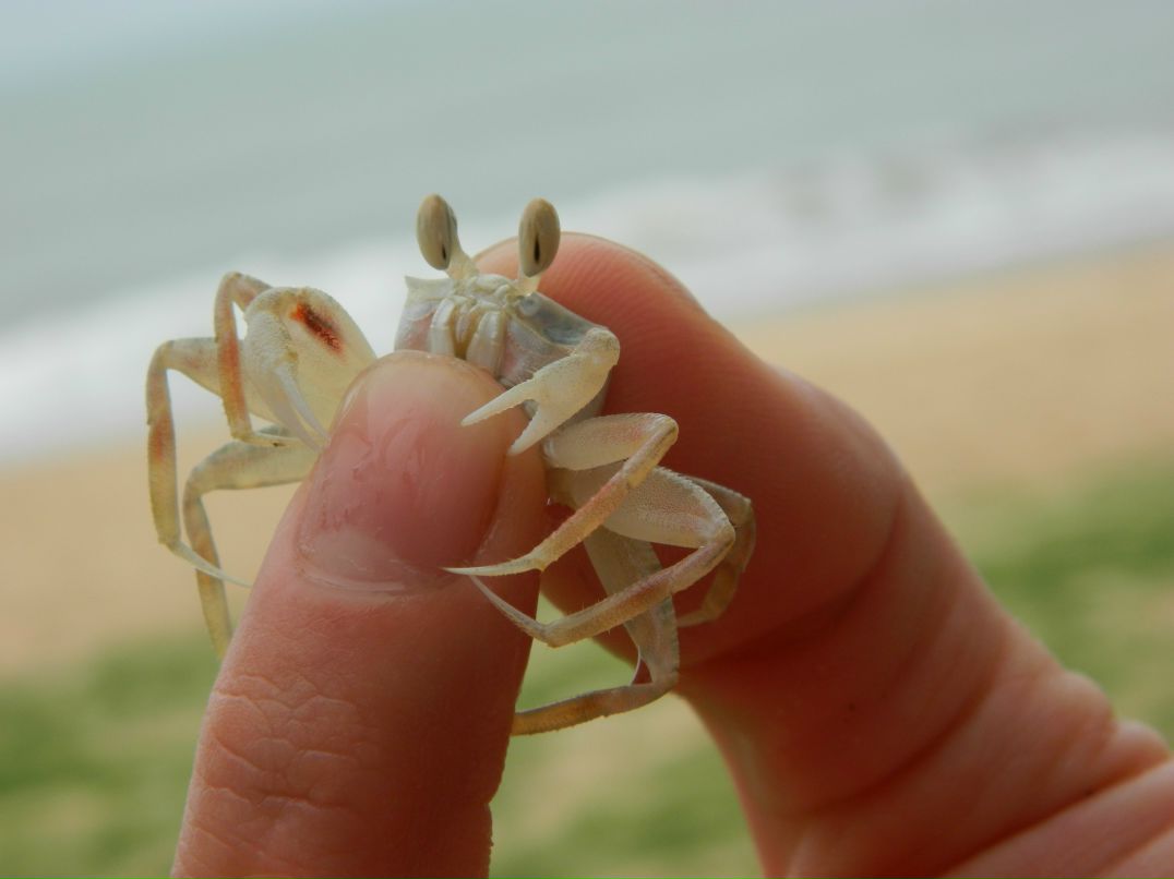 Мария Лапенкова | Санкт-Петербург