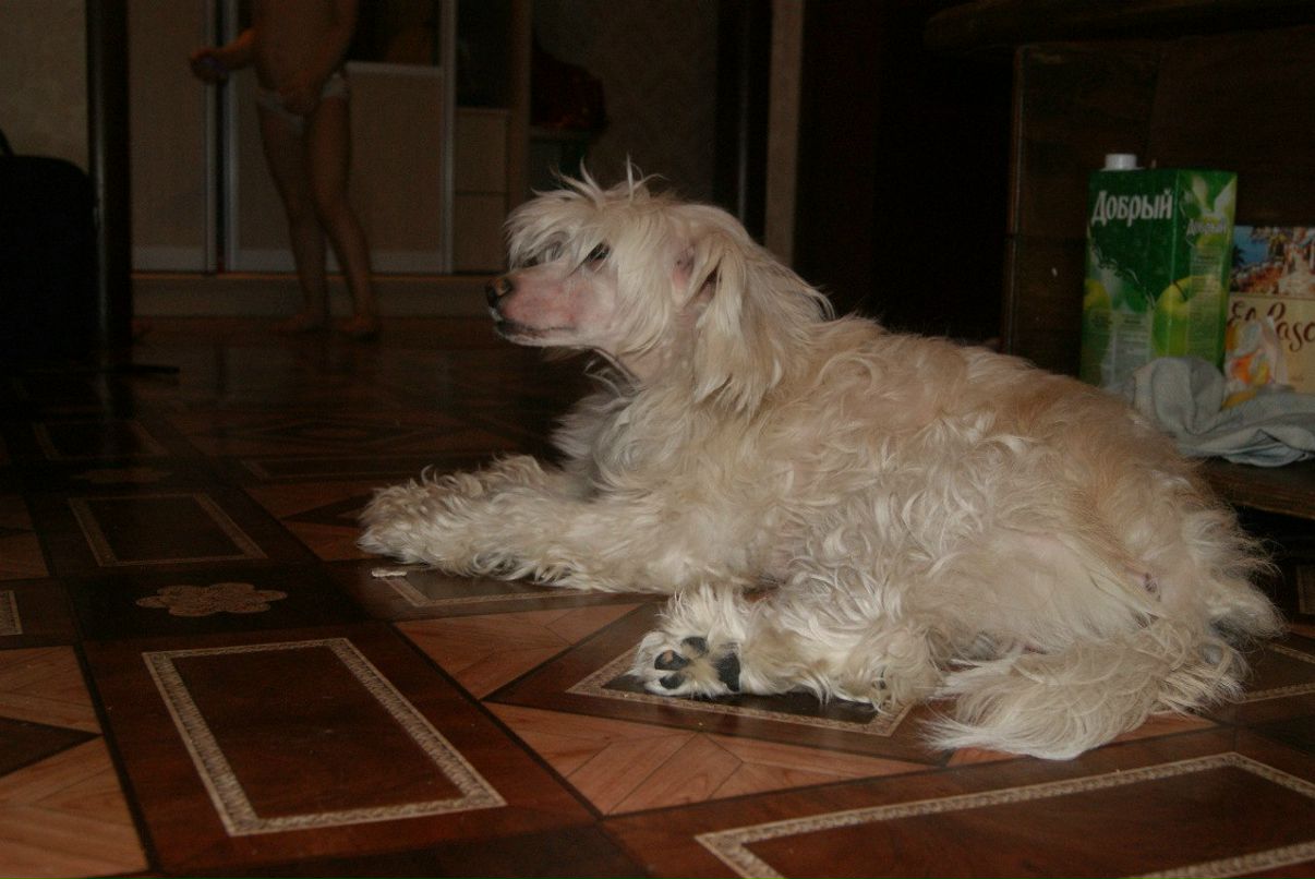 Евгения Рожкова | Самара