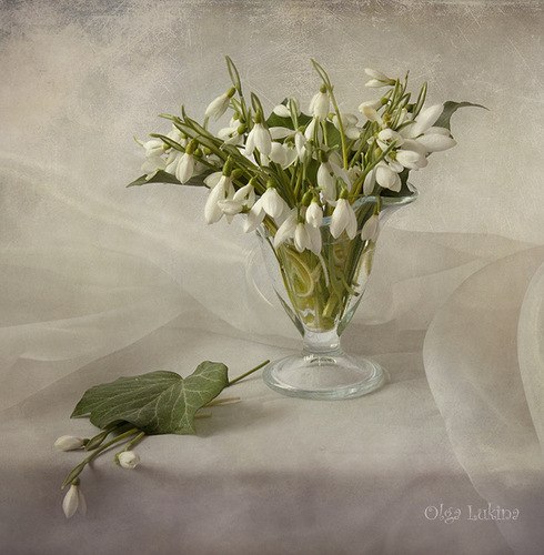 Татьяна Ержова | 