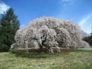 Фотография Веньямин Мерков