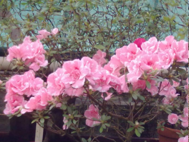 Дмитрий Погудин | Санкт-Петербург