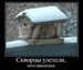 Женя Головин фотография #30