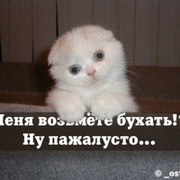 Роман Полетаев