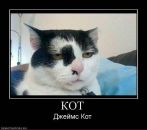 Фотография Саша Костюков
