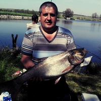 Андрей Сергеев
