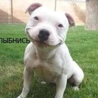 Константин Кузин