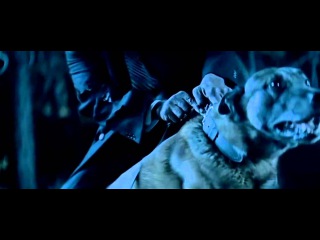 Beyonce  - Halo