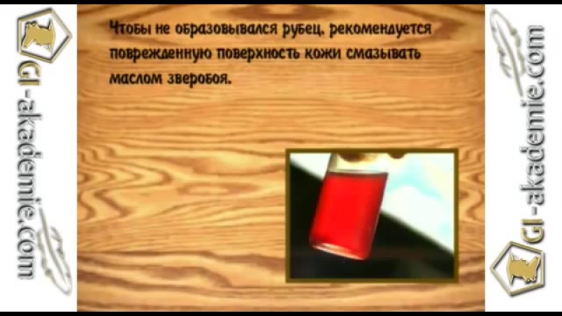 006 - Лечебные растения