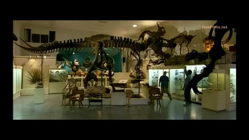 1В поисках драконов In search of the Dragons