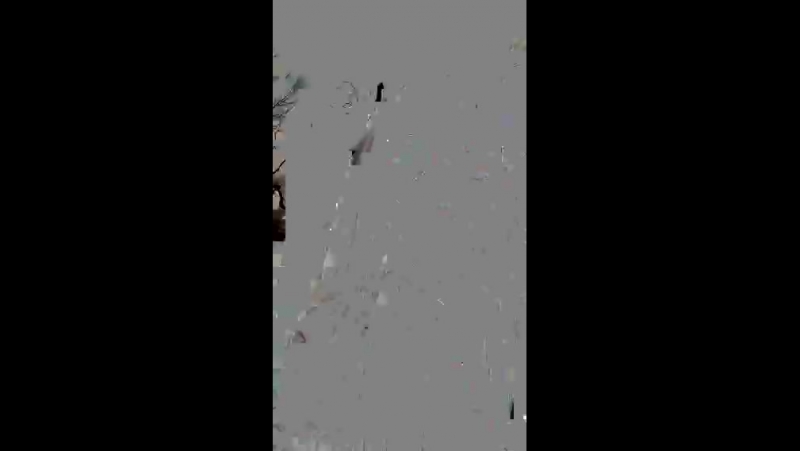 Анна Корнильева в Periscope Сердце города (Трансляция