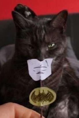 №74, Никита Мардагиза, 38 лет, Киев №74, Никита Мардагиза, 38 лет, Киев