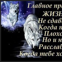 Костя Кригер
