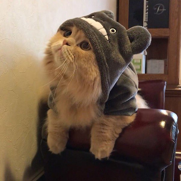 Владимир Лукошкин, Россия, Железногорск