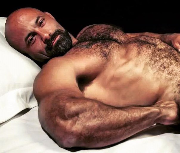Free full length gay bears
