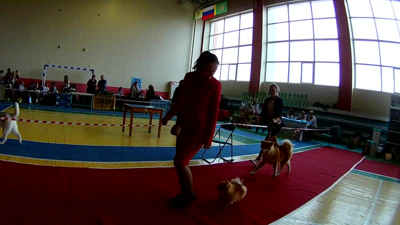 Видео от Soteyra