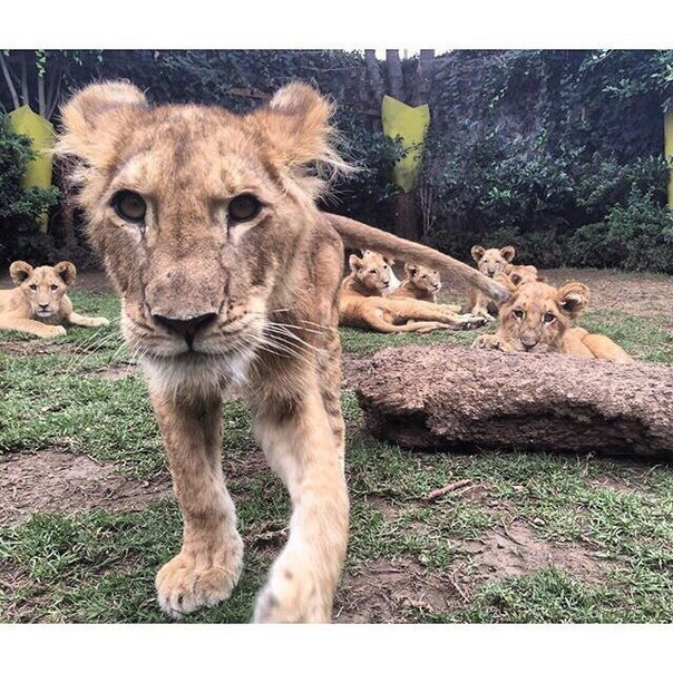 Арина Сергеева, Россия, Ставрополь