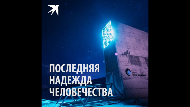 Последняя надежда