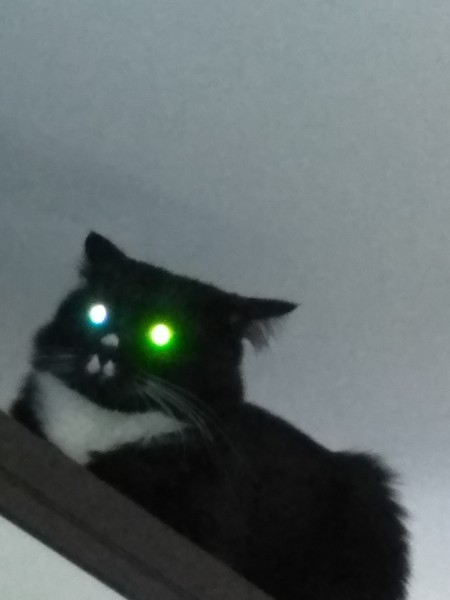 Сергей Донской