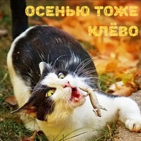 Наталья Кузнецова