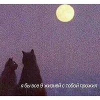 Пуля Дура