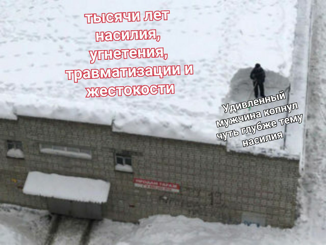 jP-FEc2pMvI.jpg