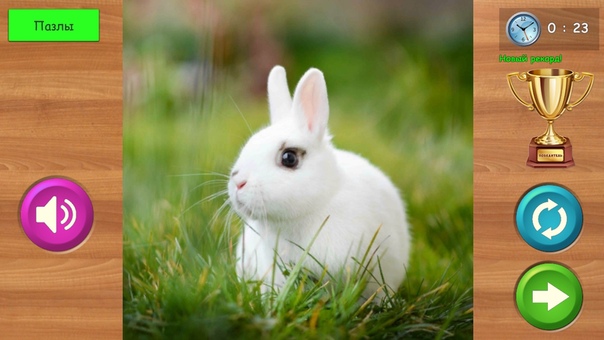 Ира Евламова, Россия, Череповец