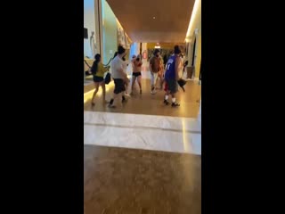 treta chimpas