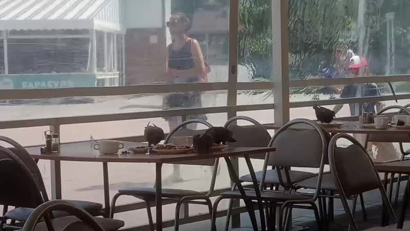 VID_20190801_141228.mp4