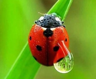 №164, Светлана Машина, 39 лет, Голицыно №164, Светлана Машина, 39 лет, Голицыно