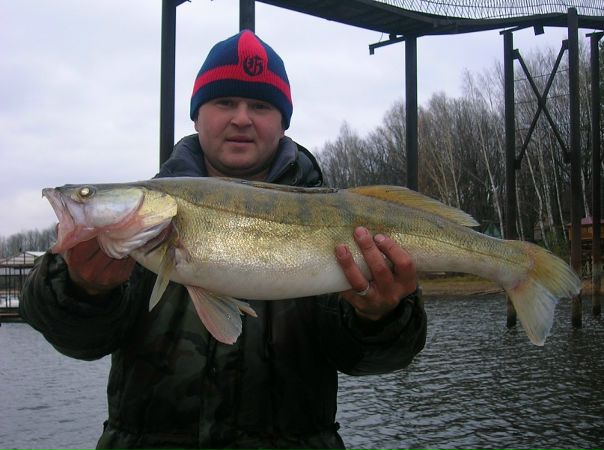 №20, Андрей Тюрин №20, Андрей Тюрин