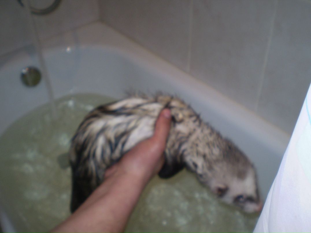 Сергей Лобаков | Москва