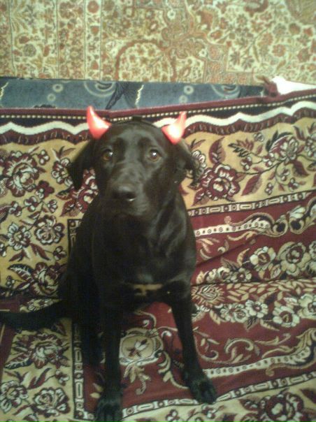 №107, Настя Савастеева, 29 лет, Харьков №107, Настя Савастеева, 29 лет, Харьков